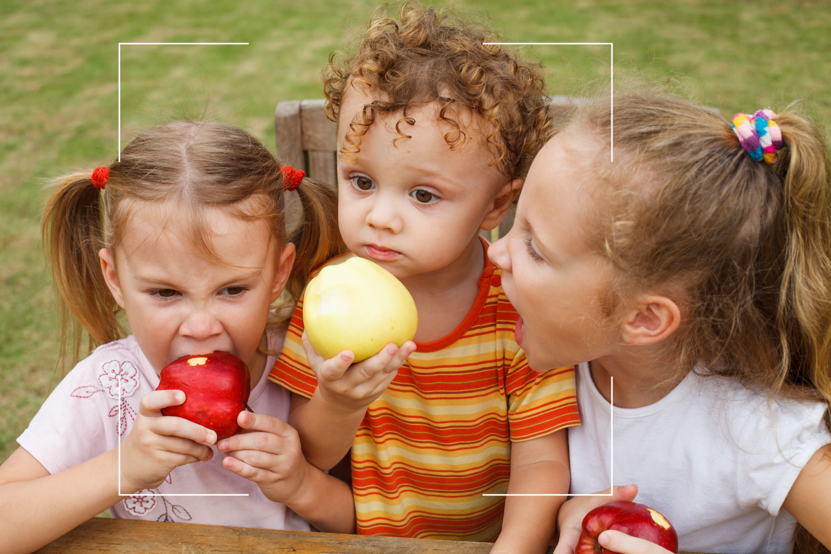 3 toddlers eating red apples at a picnic table